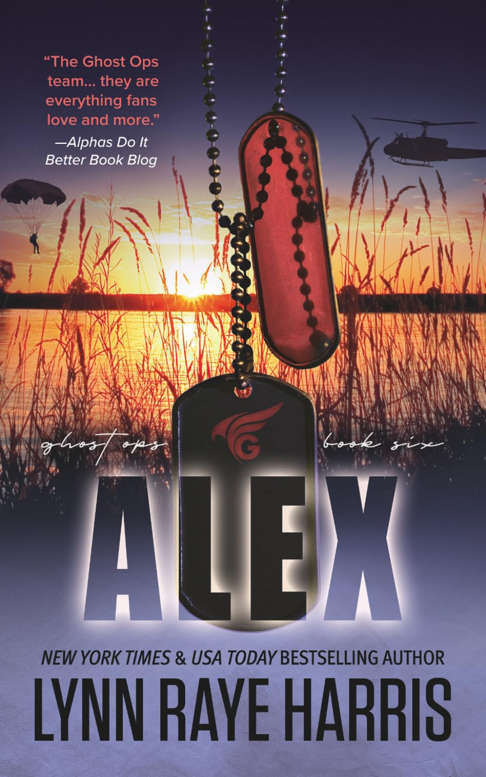 Alex: A Small Town, Enemies to Lovers, Protector Romance: 6 (Ghost Ops)