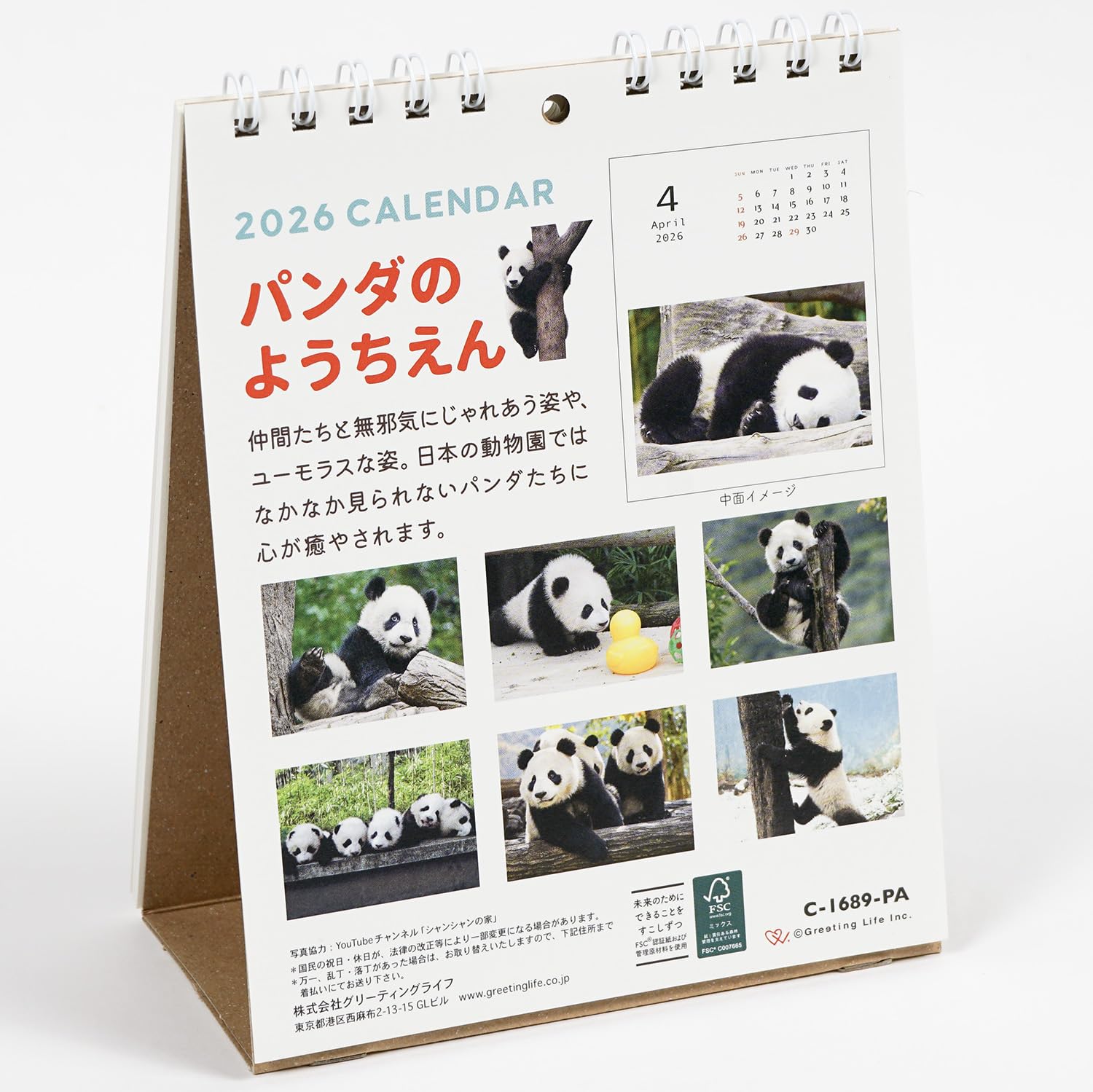 Amazon | グリーティングライフ 2026年 カレンダー パンダ 卓上 C-1689