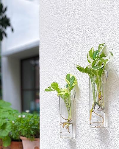 Miniatura 61 de Ivolador - Terrario de cristal colgante, maceta para plantas hidropónicas, decoración para el hogar