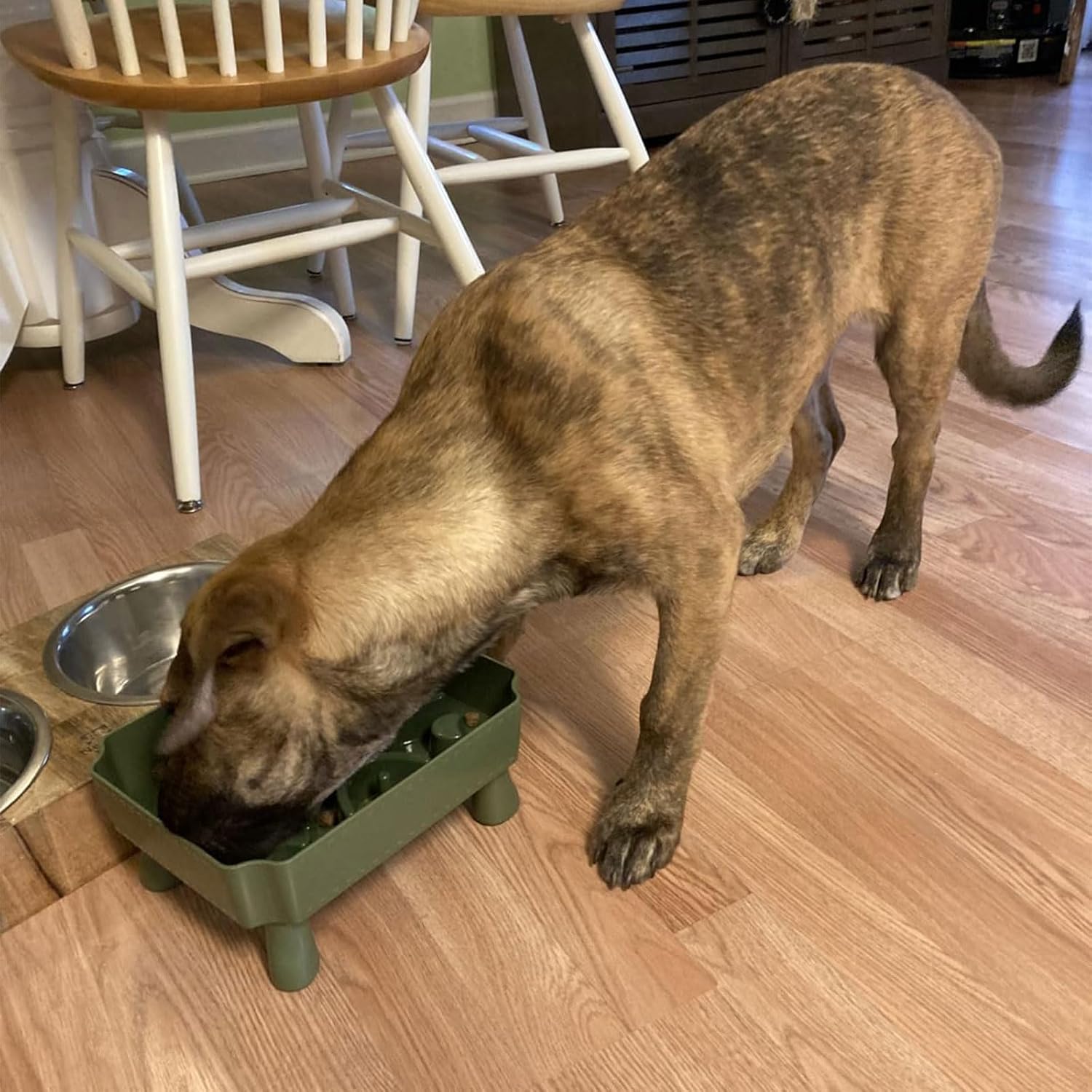 Interactively Slow Eating Cats Bowl Fun Interactively Comfortable Cats Food Bowl for Comfortable Dining Dishwasher Safe Slow Feeders