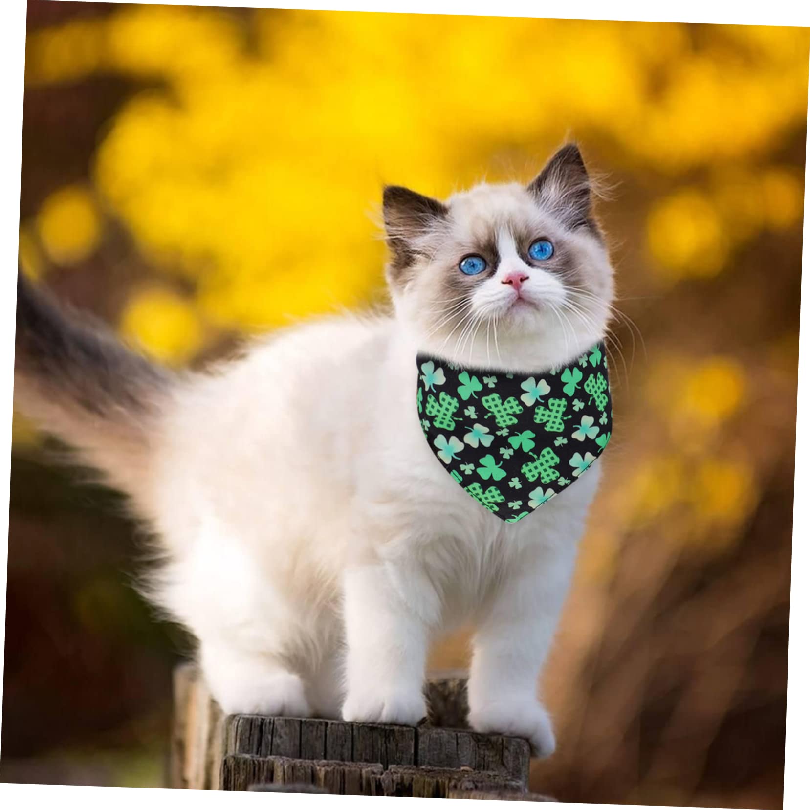 INOOMP 8piezas Bandanas para Bufandas y para y Gatos Accesorios De Moda Material Seguro y Cómodo para Bautizos y Vacaciones