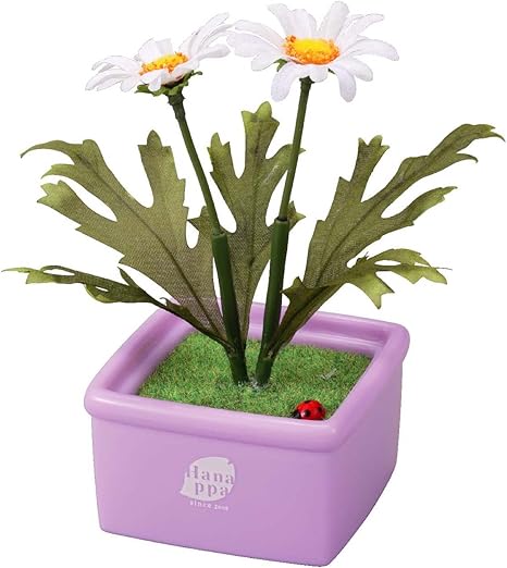 Amazon 話に花が咲く 花っぱ マーガレット 白 貯金箱 おもちゃ Amazon 話に花が咲く 花っぱ マーガレット 白 貯金箱 おもちゃ