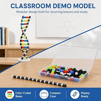 Doitool Dnaモデルキット 二重らせん構造 - 生物学を教えるための分子モデル - 科学教室のdnaディスプレイコンポーネント