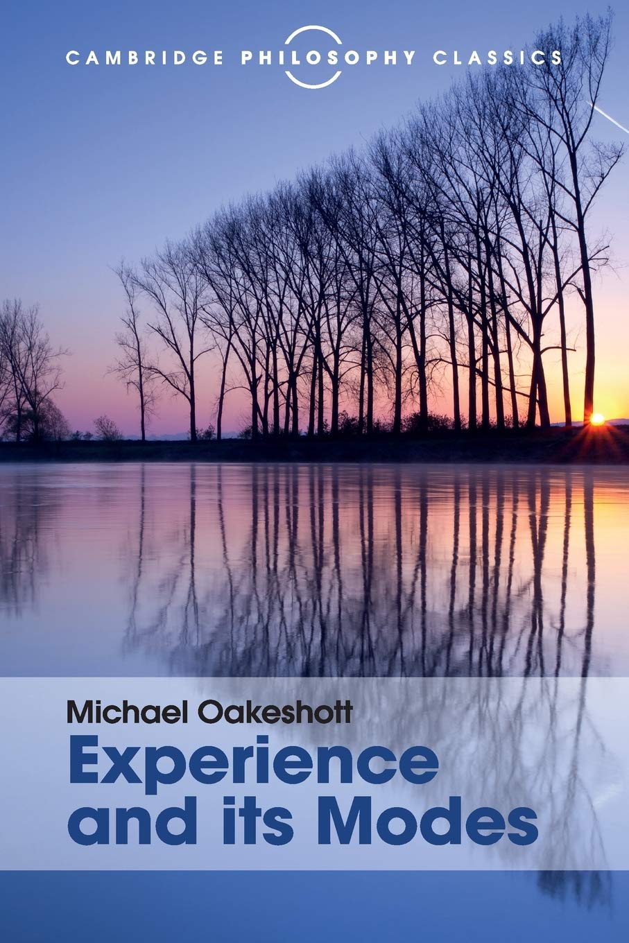 Experience and its Modes (Cambridge Philosophy Classics)