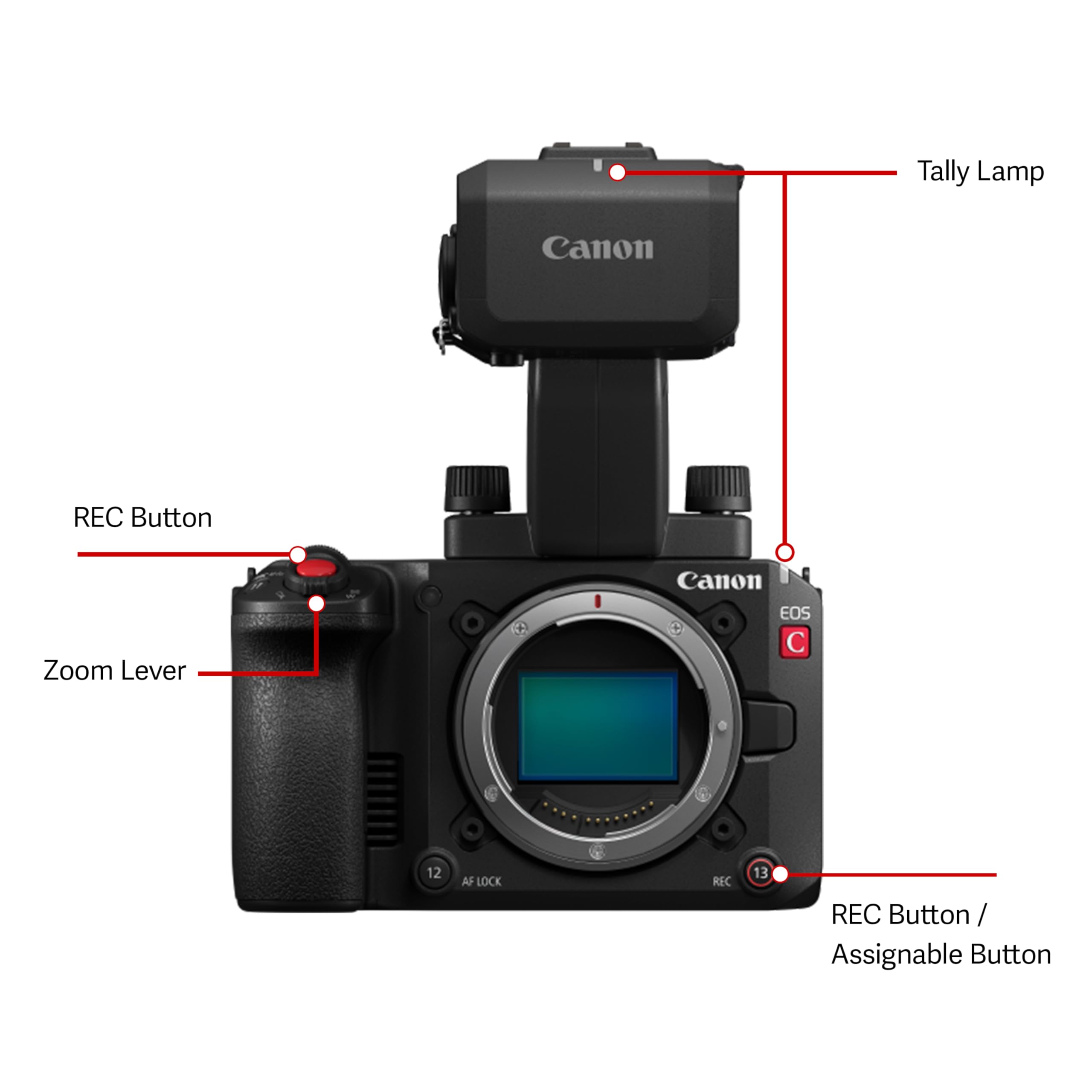 Amazon Canada: Canon EOS C50 Body