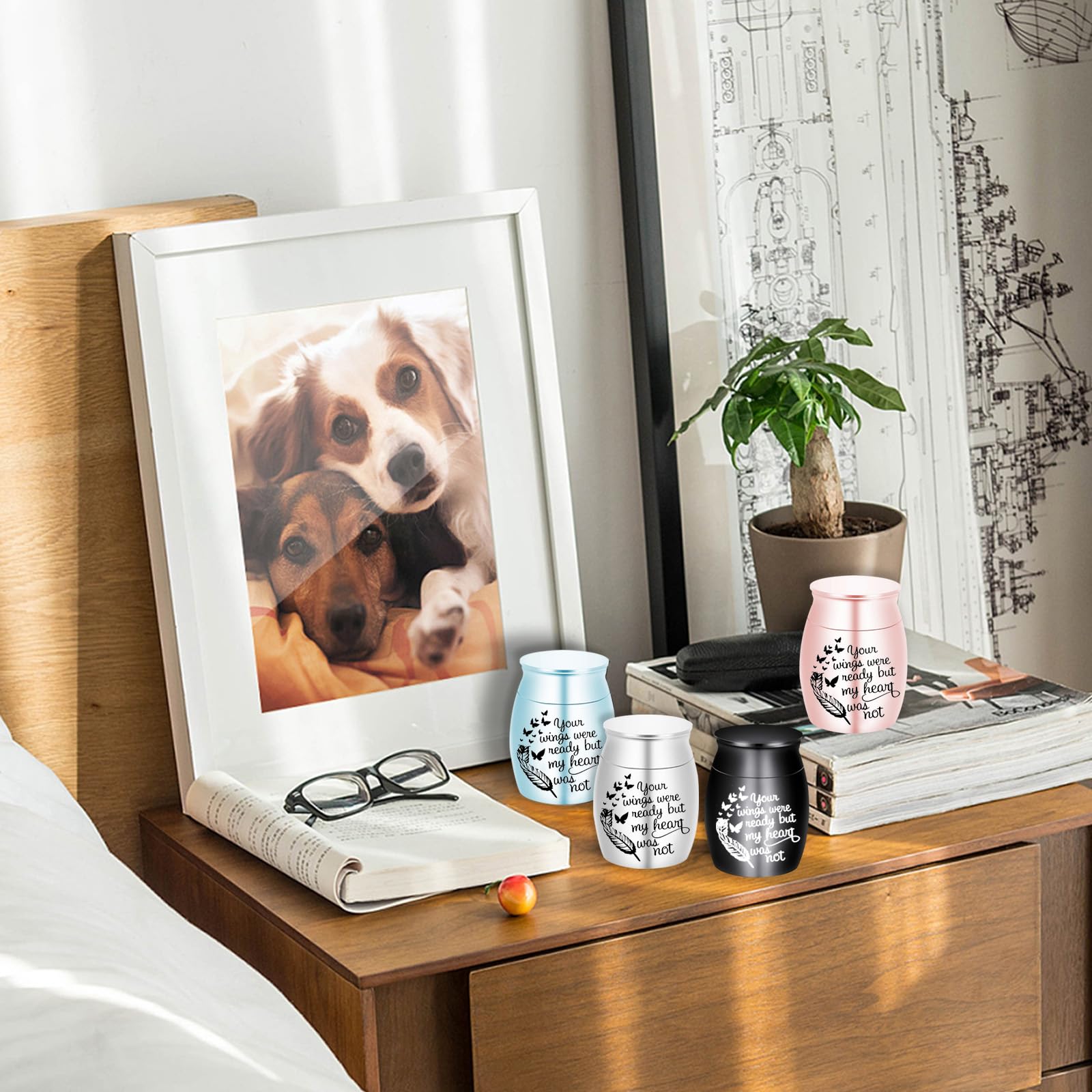 View 7