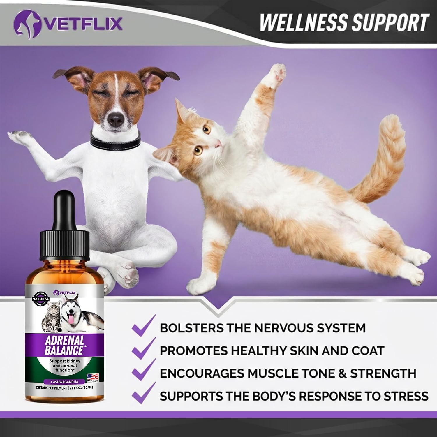 Adrenal Support for Dogs and Cats, Liquid Cushings and Kidney Drops, 2 Oz — Amazon image 4