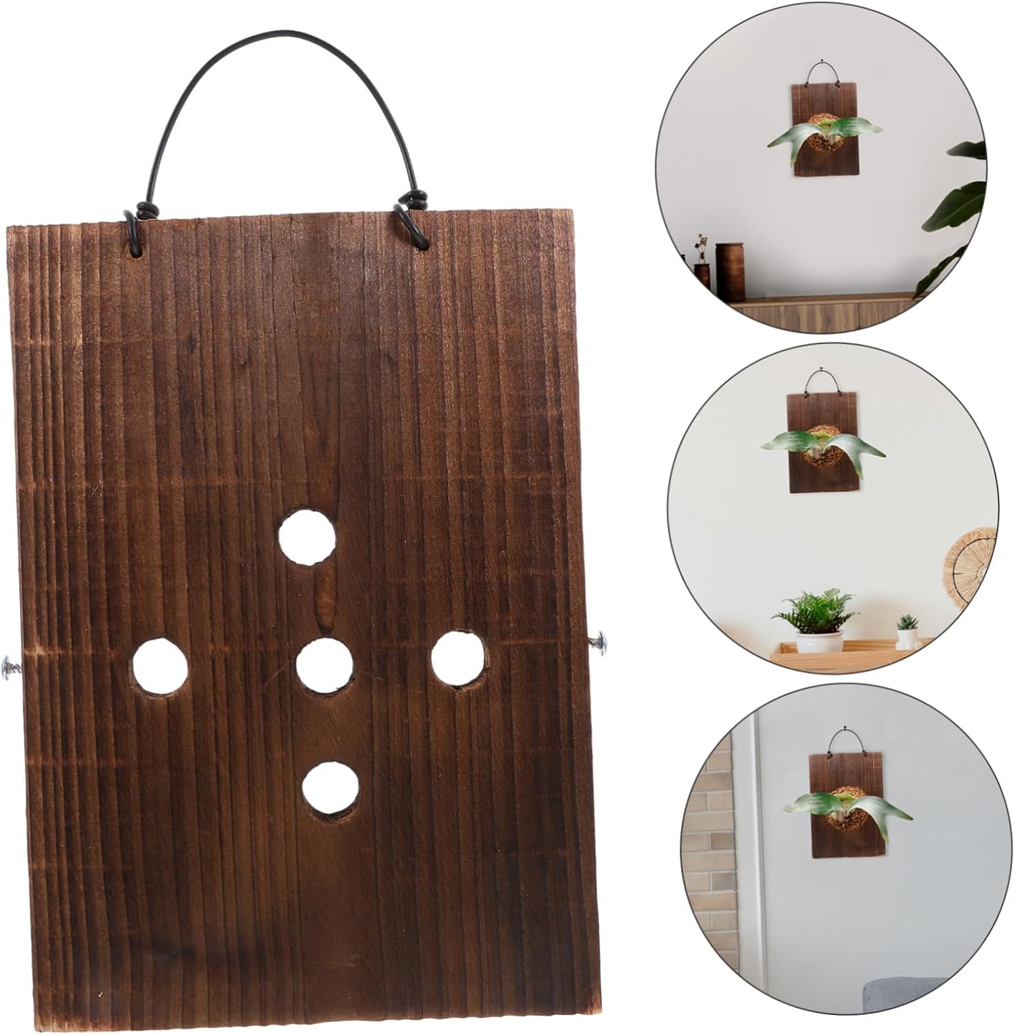 Wooden Hanging Plaque for Plants Rustic Wood Sign Decor for Staghorn Ferns Succulents Space-Saving Planting Board for Indoor Gardens Durable Solid Wood for Balconies Living Rooms and Cafes