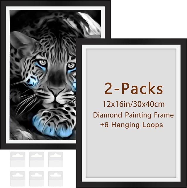 AIRDEA 2-Packs Magnetic Frame Diamond Painting Frames 12x16 in/ 30x40 cm DIY Diamond Painting Accessories Pictures/Photos Adhesive Back 5D Diamond Painting Art Frame with Hooks Wall Door Glass(Black)
