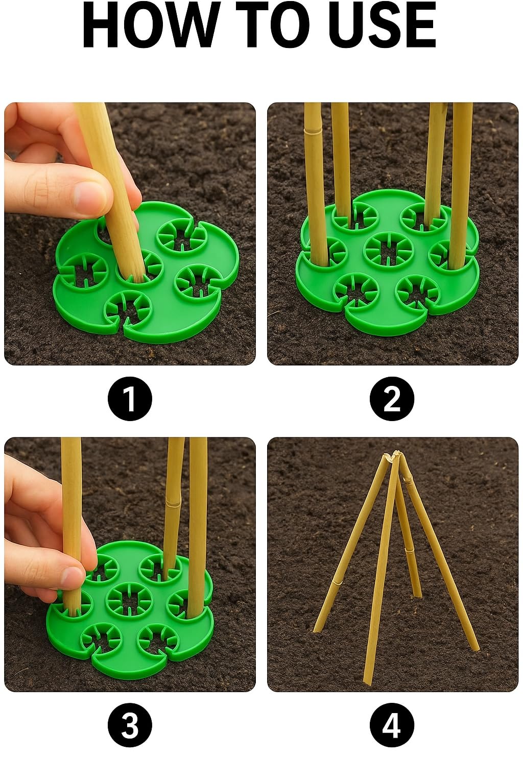 View 4