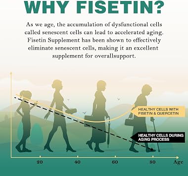 Liposomale Fisetin und Quercetin 1200mg - 60 Weichgelkapseln (1000mg Fisetin 200mg Quercetin) - verbesserte Aufnahme - Leistungsstarkes & 100% natürliches (60 Stück (2er-pack))
