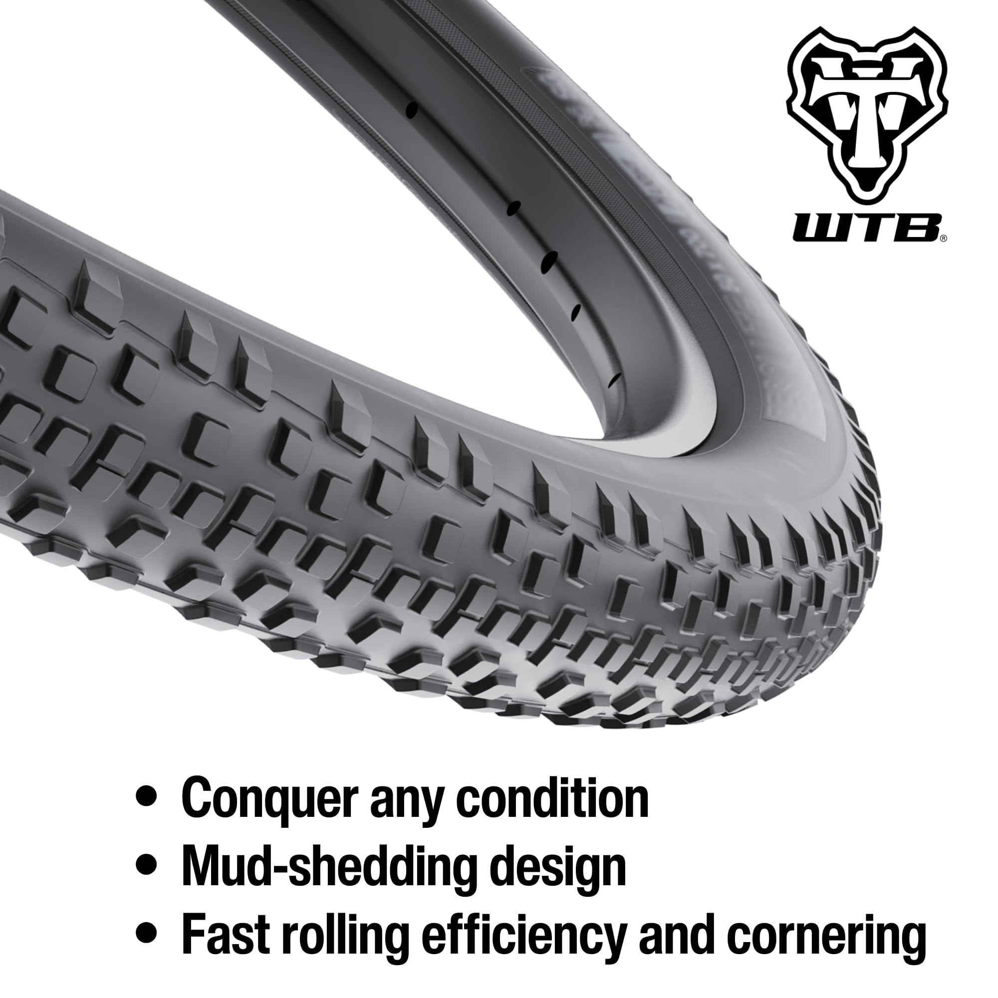 Amazon.com : WTB Resolute Gravel Bike Tire (700 x 50) Tubeless