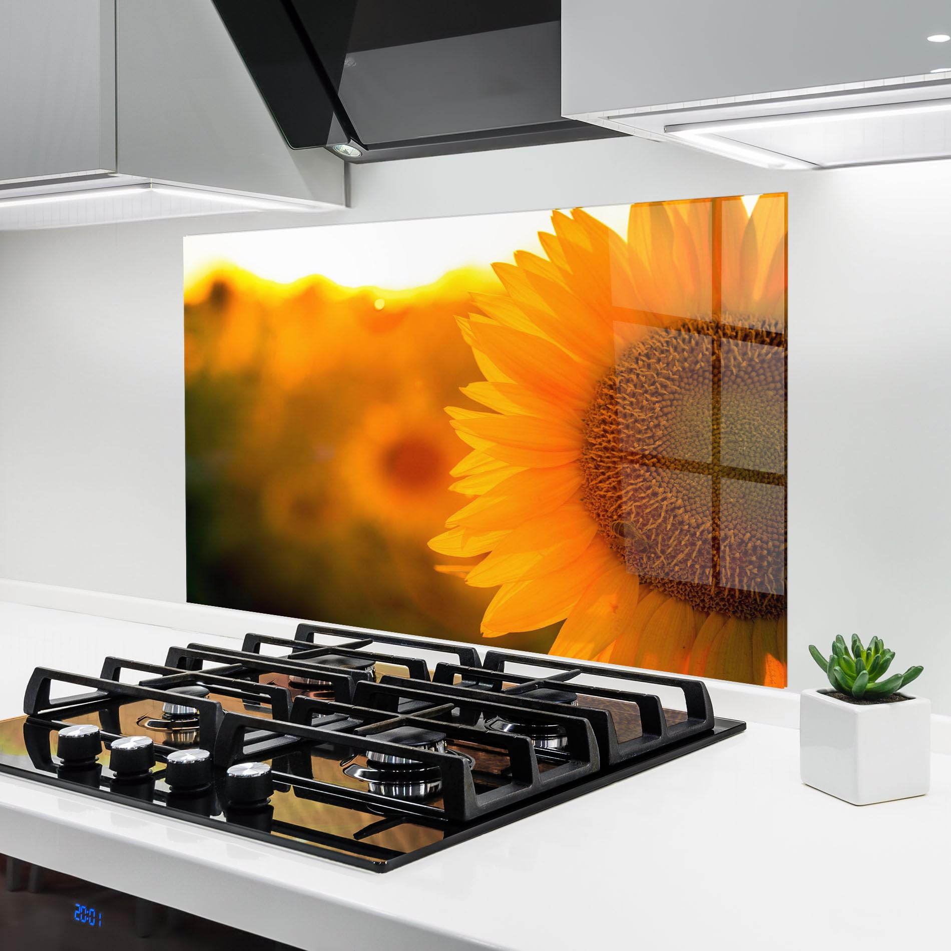 Crédence de Cuisine en Verre Trempé ARTHUB Panneau Mural Haut de Gamme Paysage