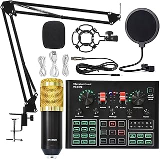 Sound Card Kit Bm 800 Microphone Sound Card Professional Studio Condenser Wireless Microphone For USB Gaming Singing Karaoke MIC For PC Phone Studio Setup For Recording Music ( Color : Gold BM800 V9XP