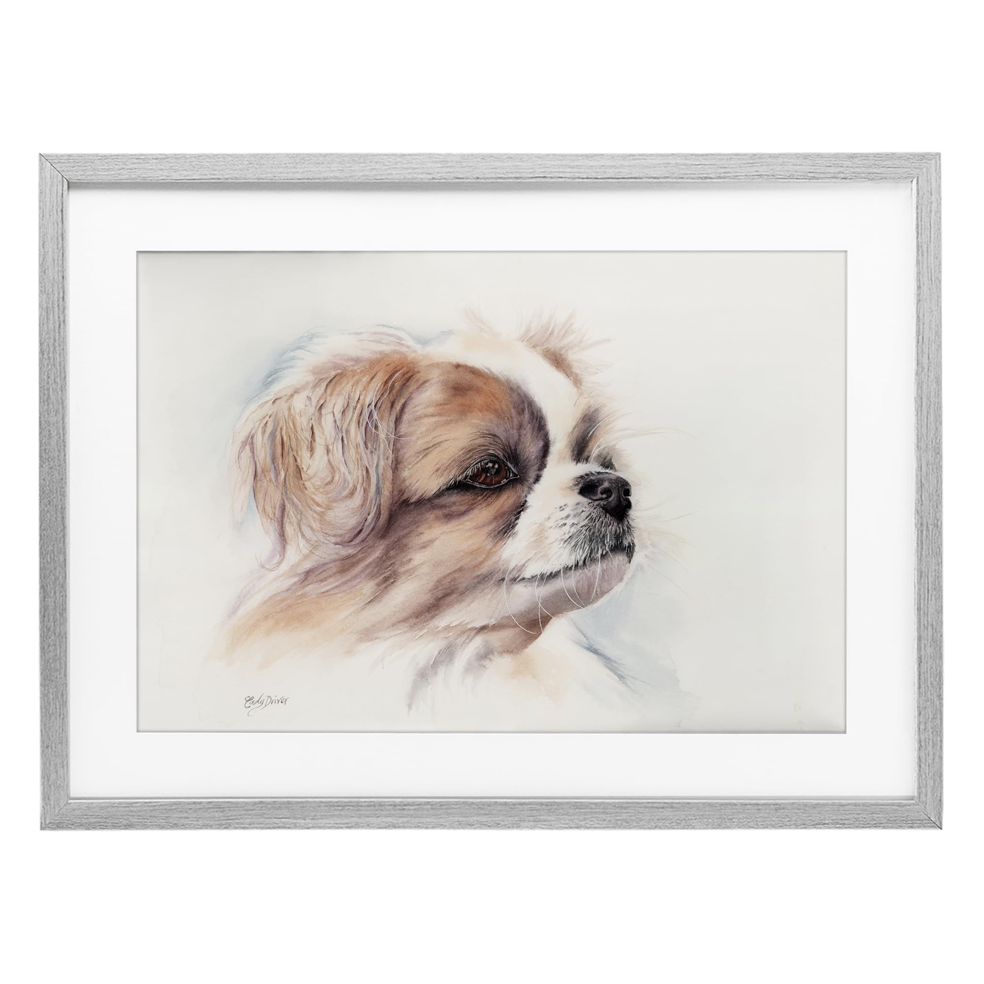 Stupell Industries Expressive Dog Face Portrait Gray Framed Print Under Glass, design by Cady Driver, 17 x 23