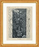  Biller Antik Danse de la mort alpine Otto Seitz Edelweiss Chute Rock Jeunesse Encadrée 5257