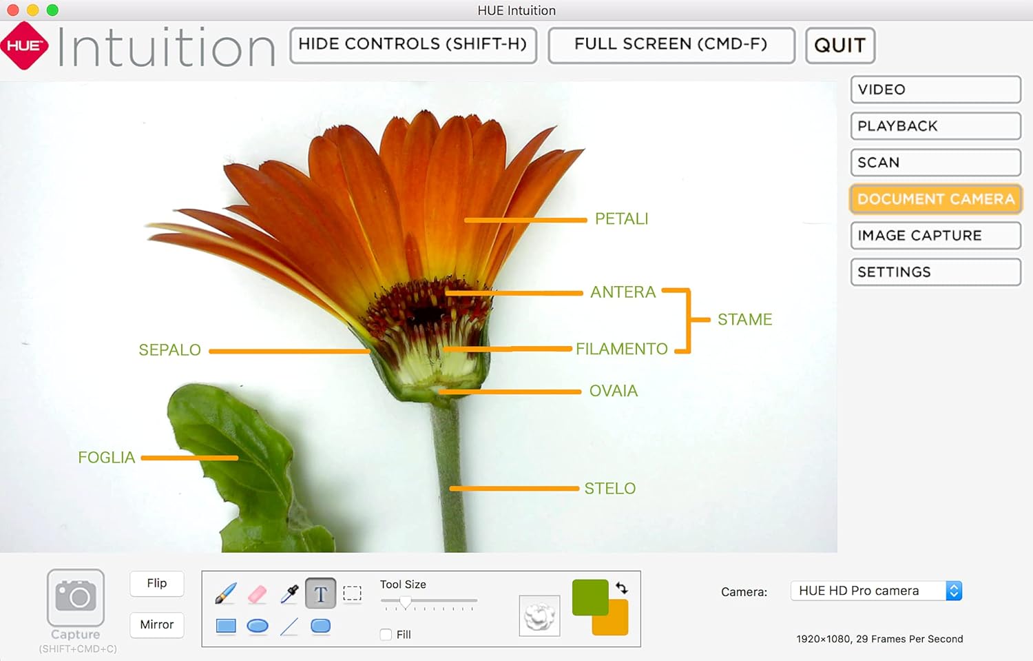 🔥 Cashback up to 70% HUE HD Pro USB Document Camera for Windows, macOS and Chrome OS (Red) Big Sale HUE HD Pro USB Document Camera for Windows, macOS and Chrome OS (Red)