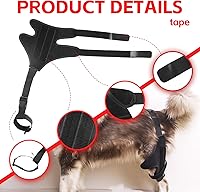 Vista 3 de Rodillera de ACL para perro, rodillera de perro para pierna trasera desgarrada del ACL, soporte para pierna trasera de perro, soporte de pierna