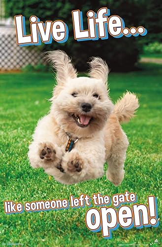 Trends International Avanti - Póster de pared Dog Joy, 22.375 x 34 pulgadas, versión sin marco