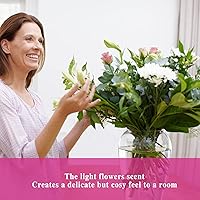 Vista 225 de MAYJAM - Aceite esencial de anís estrella, aceites puros de estrella de anís para difusores, 3.38 onzas líquidas, aceite esencial de anís estrellado