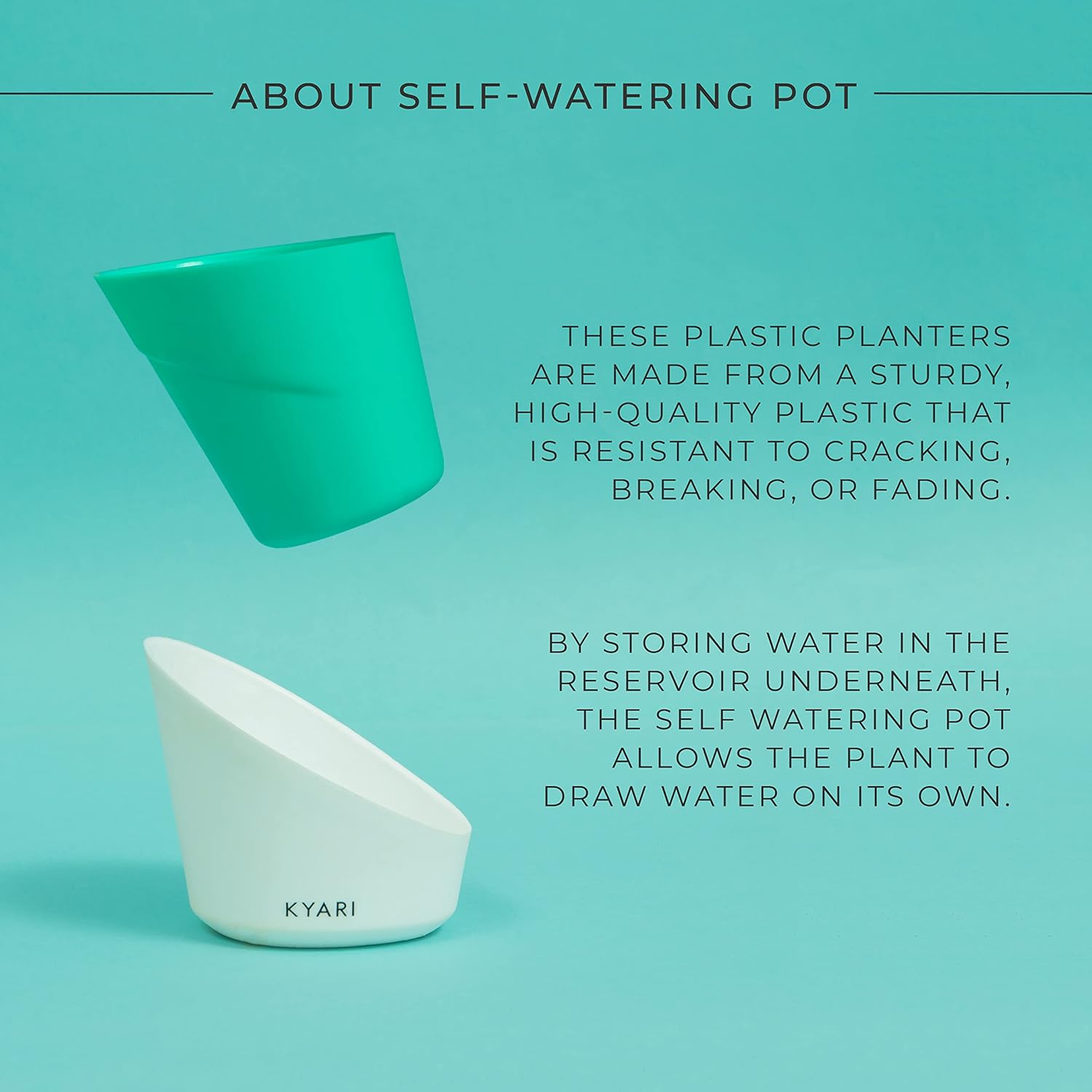 KYARI Jade Indoor Plants for Living Room | Live Plants | Plants with Turkish Green Pot for Home | Air purifier plants | Plants for Home Decor | Plants for garden | Indoor Plants for bedroom 4 71POGtOteQL. SL1500