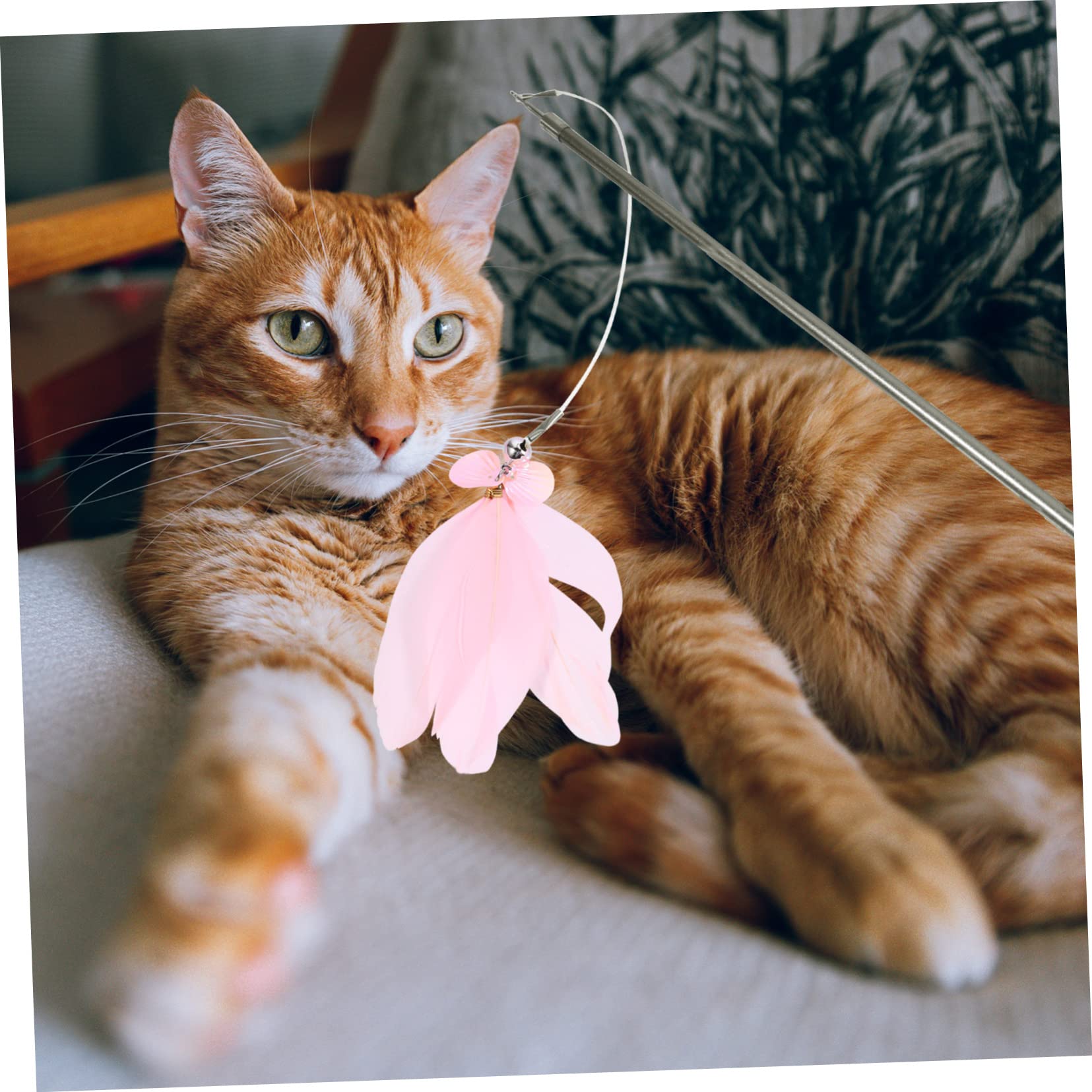 INOOMP 3stücke Interaktives Katzenspielzeug Mit Teleskopischem Angelstock Und Ersatzspielzeugen Fördert Aktivität Und Bindung Zwischen Katze Und Für Kätzchen Erwachsene Und Senioren