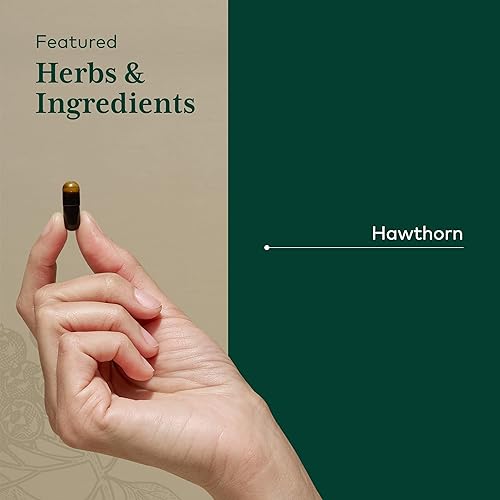 Miniatura 4 de GAIA HERBS PRO Hawthorn - Suplemento de apoyo a la salud cardiovascular* - Suplemento de apoyo a la circulación* con bayas de espino orgánico - 60