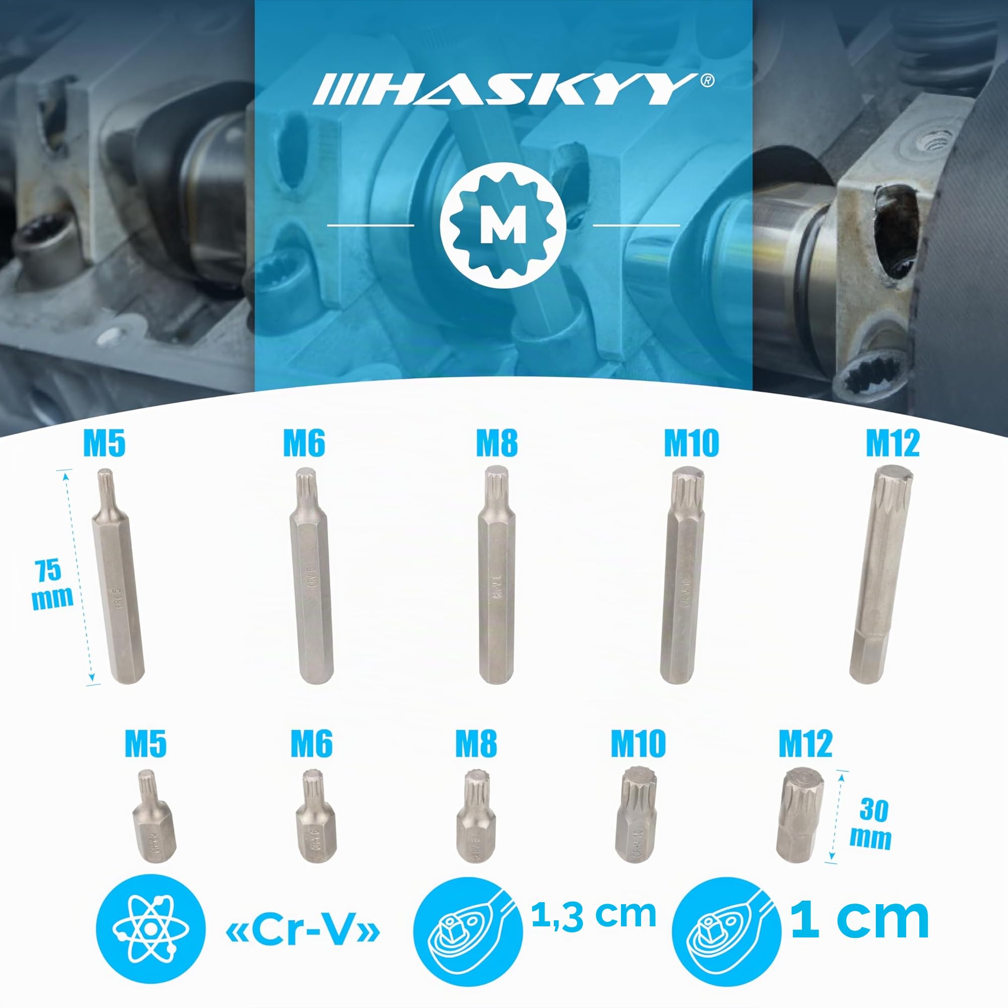 HASKYY XZN - Lot de 40 douilles hexagonales - Torx à dents multiples - Torx : T20, T25, T30, T40, T45, T50, T55 - XZN : M5, M6, M8, M10, M12 - Six pans creux : 4, 5, 6, 7, 8, 10, 12 mm