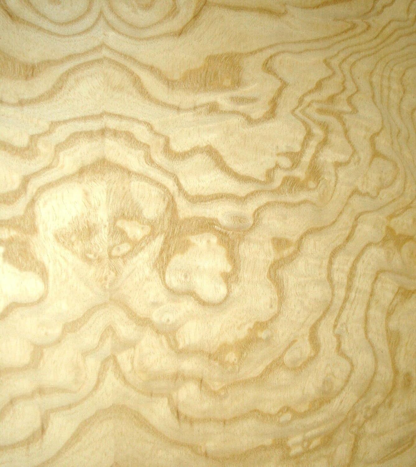 Ash Burl White Wood Veneer 24" x 24" with Paper Backer 1/40" Thickness AA Grade