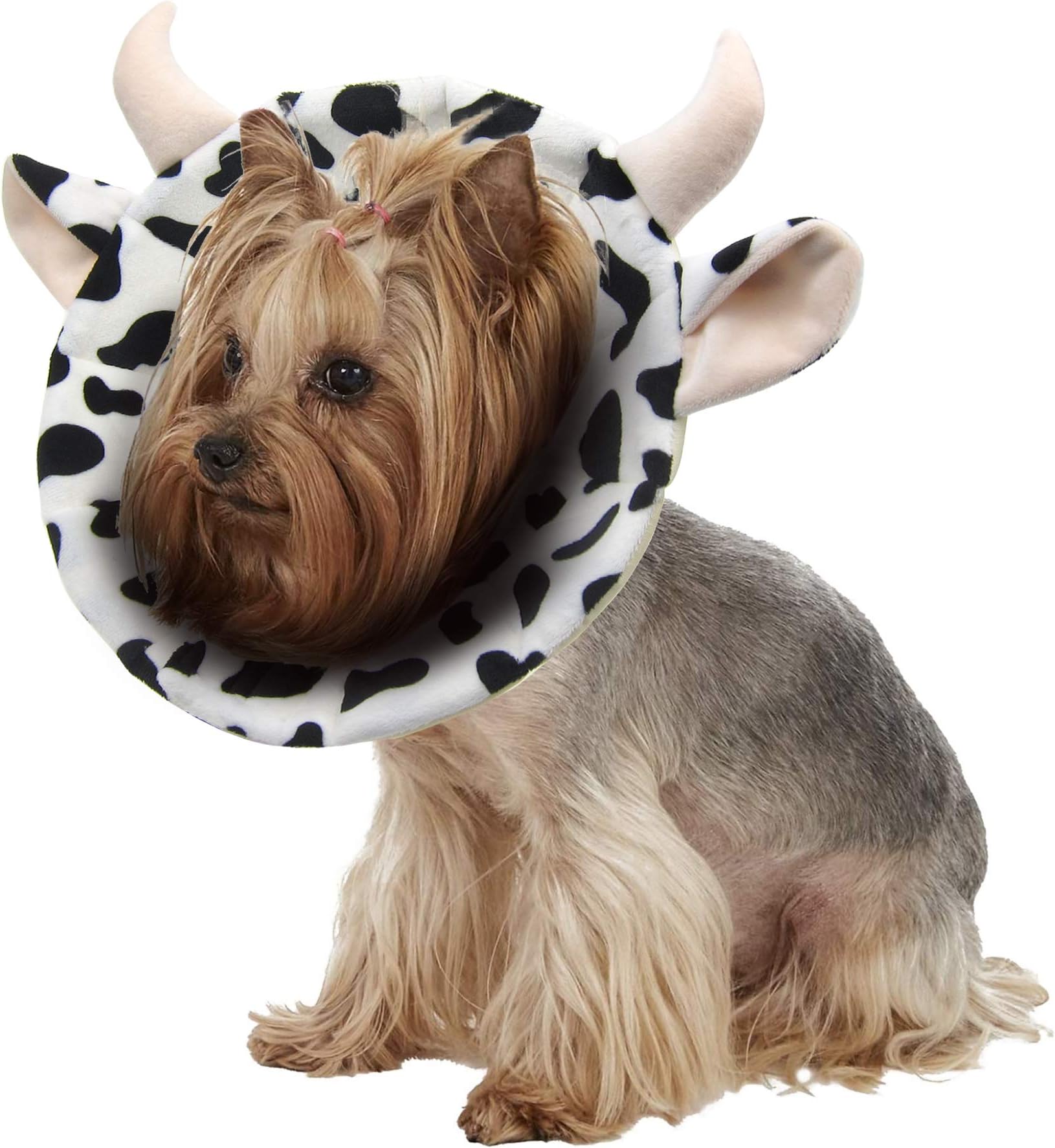 Alfie Pet - Noah Recovery Collar (for Dogs and Cats) - Color: White, Size: XXL