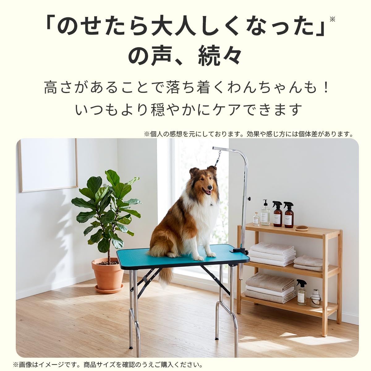 Amazon | プチリュバン トリミング台 GS78L Lサイズ アーム付き