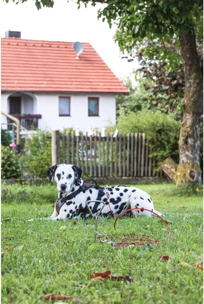 KERBL -Attachment Leash with Spiral Anchor for Dogs