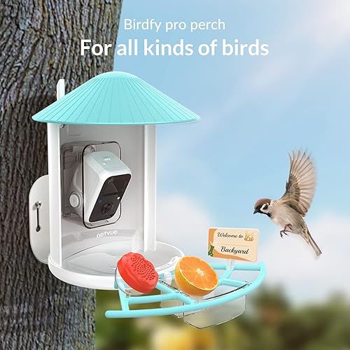 Miniatura 2 de NETVUE Birdfy Pro Perch - Percha de extensión más amplia para complementos de bricolaje, incluyendo bola de sebo, mini comedero para colibríes,