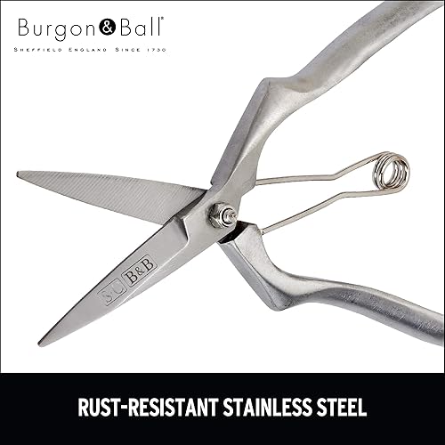 Miniatura 3 de Burgon & Ball GSC/PRESEC Sophie Conran podadoras manuales, color plateado