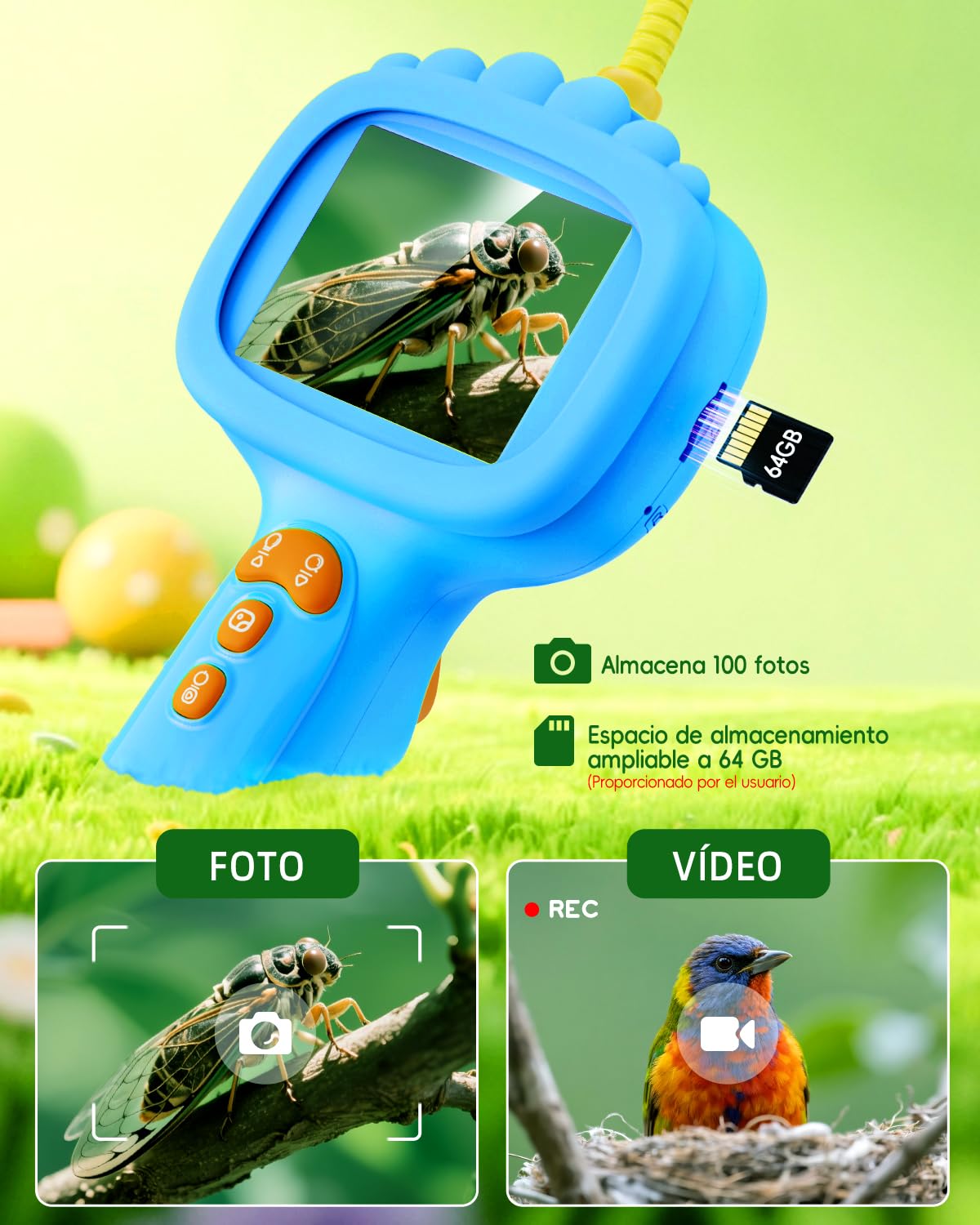 Cámara endoscópica para niños, cámara Ashfly 1080P, Stem Juguete para Exterior jardín Camping Naturaleza Descubrir, Regalo de cumpleaños para 4, 5, 6, 7, 8, 9, 10 años, niños y niñas (Azul)