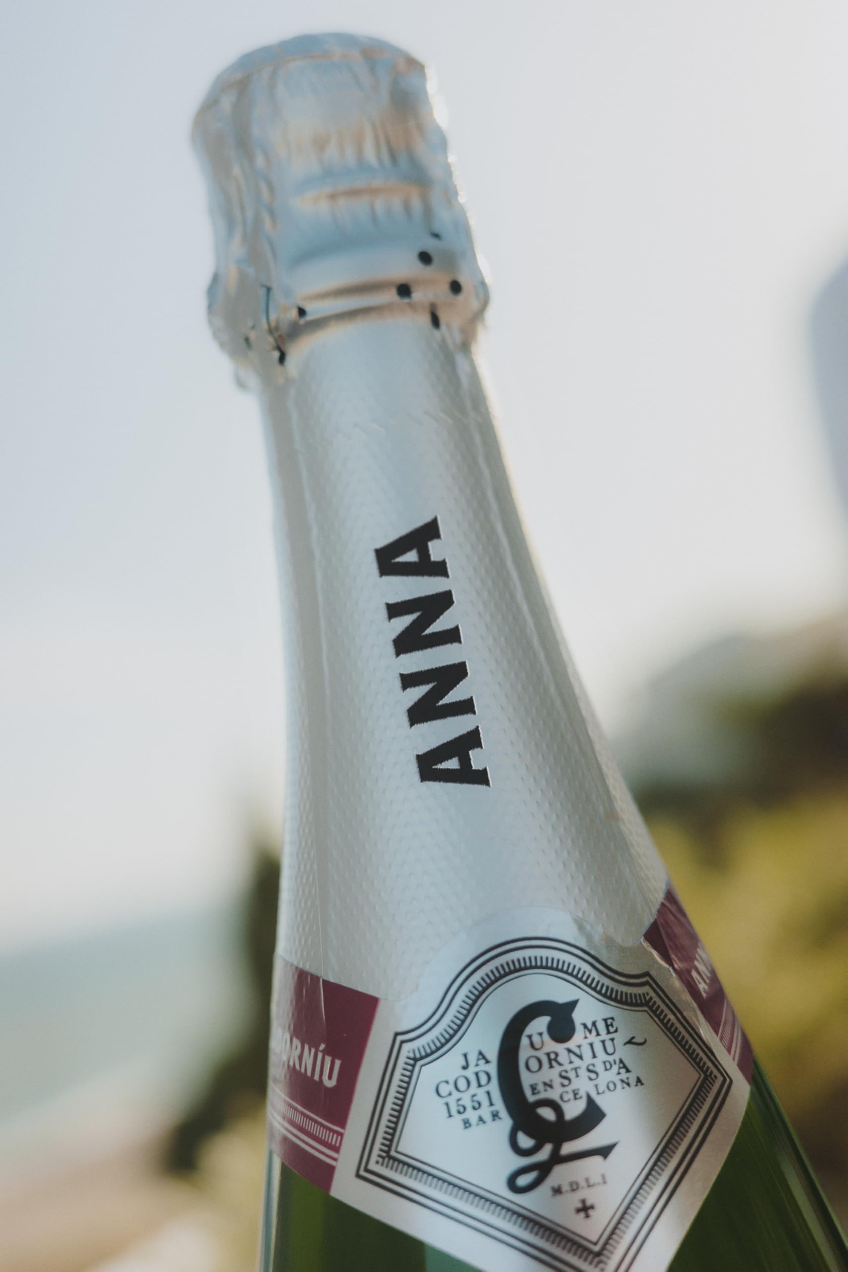 ANNA DE CODORNIU Cava Brut Nature 75cl