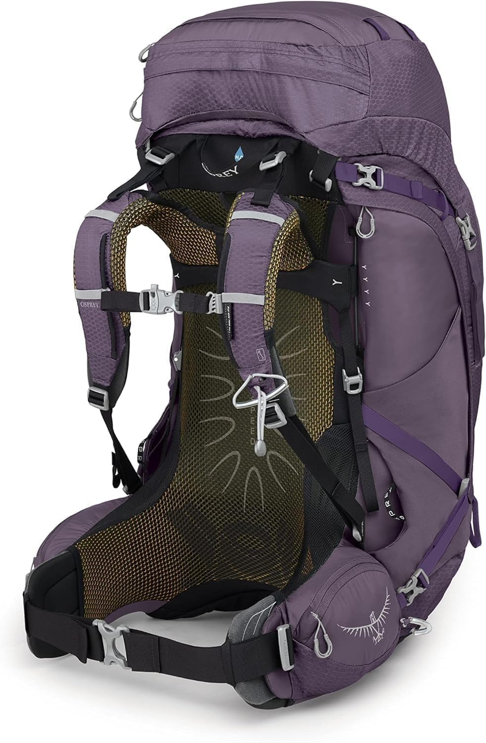Osprey Aura AG 65L Women's Backpacking Backpack, Enchantment Purple, WXS/S