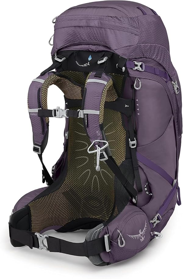 Osprey Aura AG 65L Women's Backpacking Backpack, Enchantment Purple, WXS/S by Osprey - Image 6