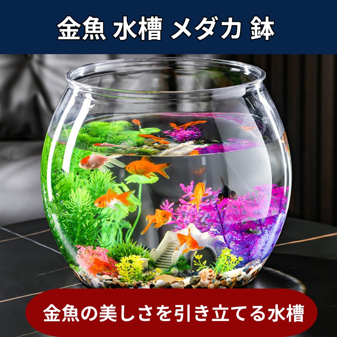 出目金がとてもカッコイイ、色合いが素晴らしい、金魚鉢、メダカとか。 楽天市場】メダカ 金魚 水槽 金魚鉢 プラスチック 透明 メダカ鉢