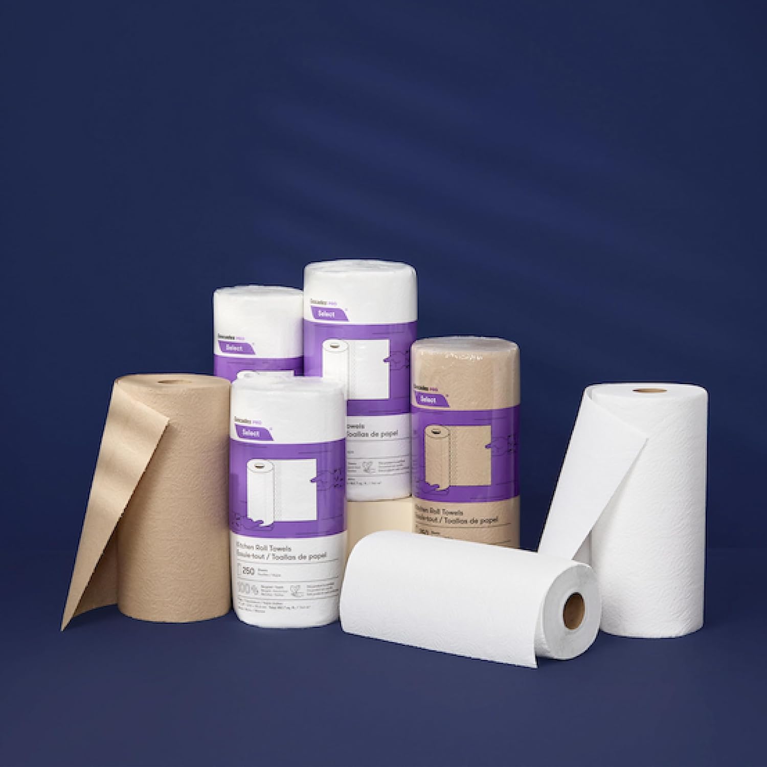 Cascades PRO Select Kitchen Roll Towel - Strong and Absorbent 2-Ply Paper Towels for Kitchens, Breakrooms, Schools, Offices - Recycled, Compostable - 250 Sheets/Roll, 12 Rolls/Box -K250 - White