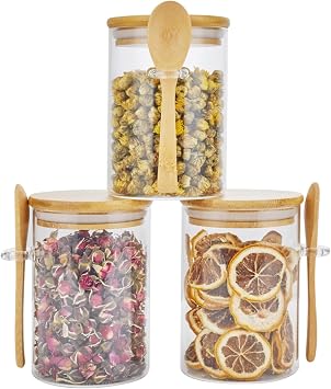 Saiveina 4 Pack Glass Overnight Oats Containers with Lids with Spoon 15oz