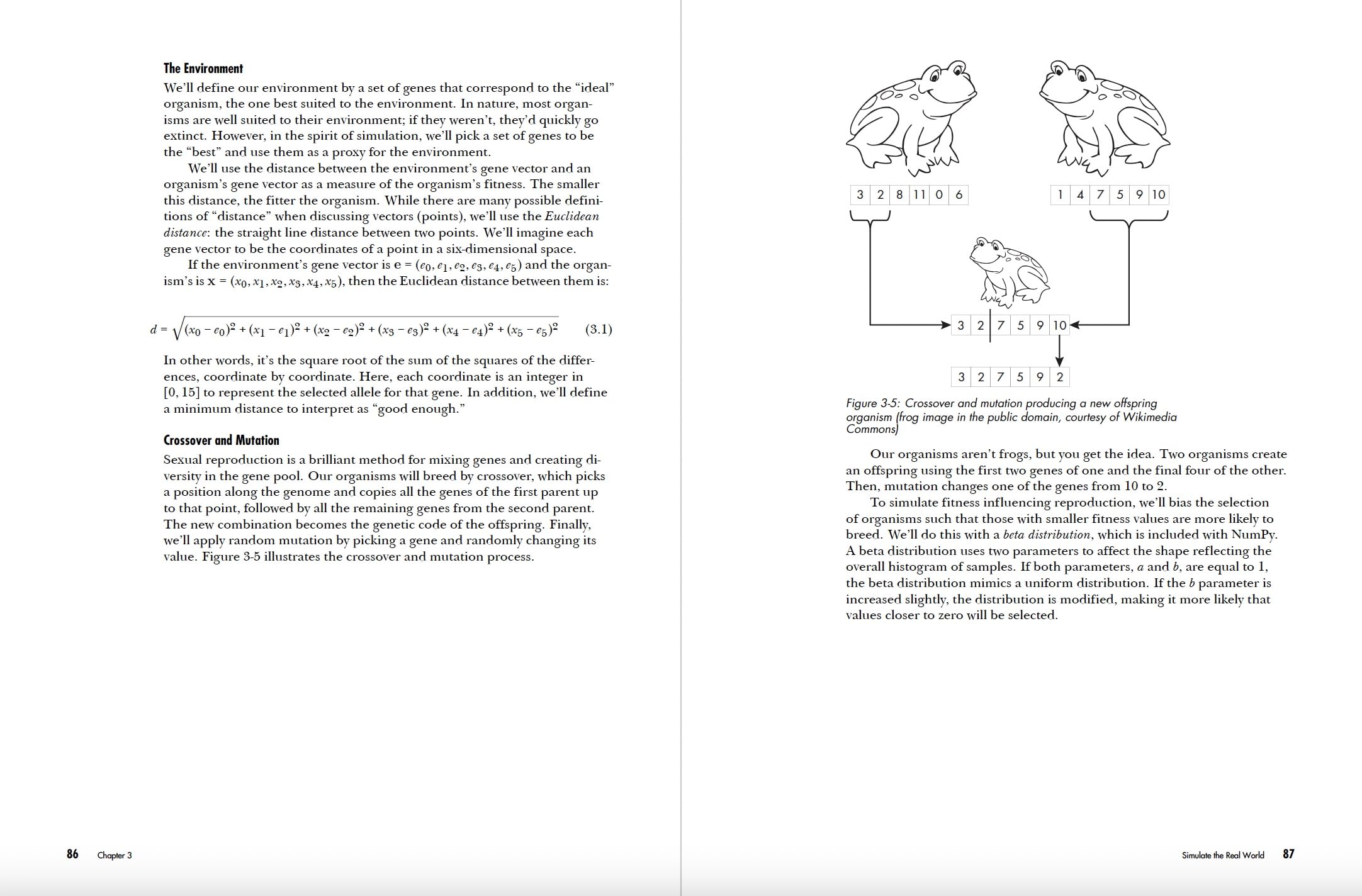 The Art of Randomness: Randomized Algorithms in the Real World