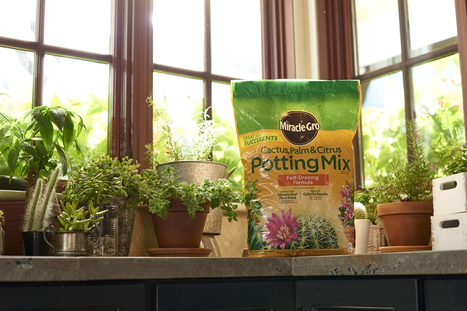 Miracle-Gro Cactus, Palm & Citrus Potting Mix 8 Qt. : Soil And Soil Amendments : Patio, Lawn & Garden