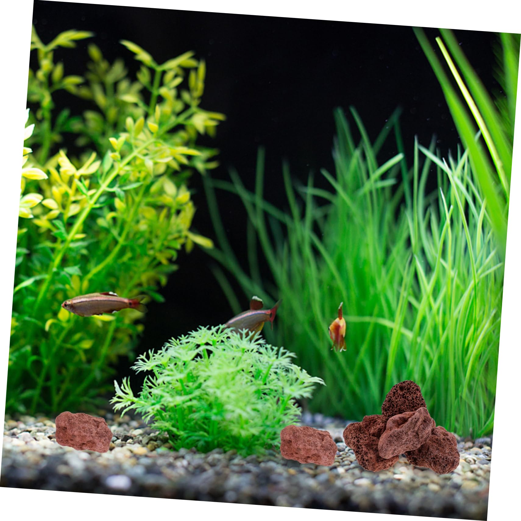 Toddmomy Ornements en Pierre Volcanique Faits À La Main Pierres Décoratives pour Aquarium Roche Volcanique Naturelle pour Plantes Succulentes