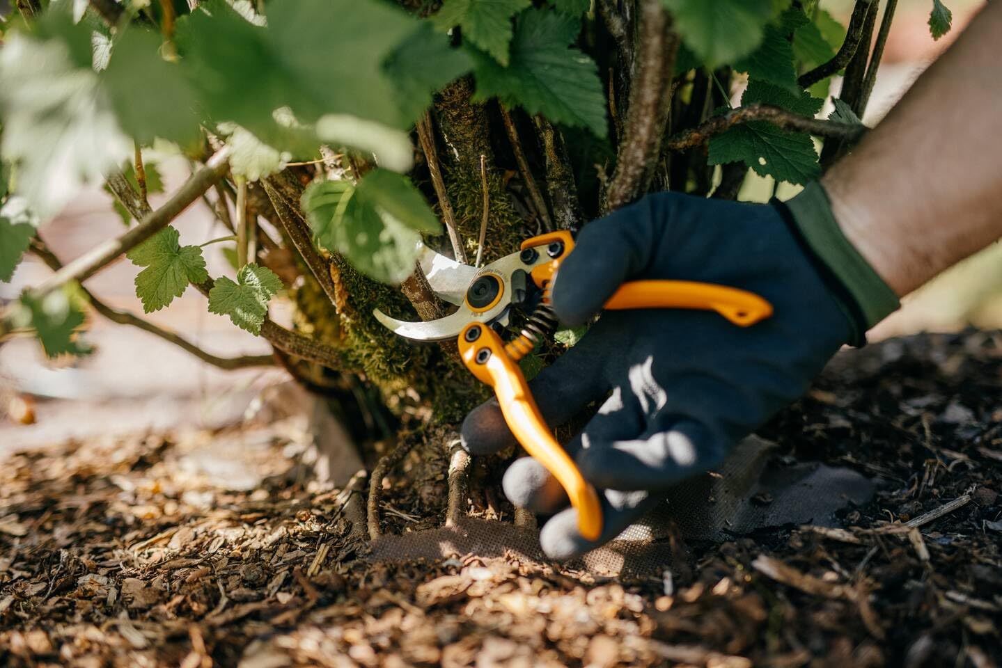 Fiskars Pruning shears, Medium (PB-8), High-Steel blades, Length: 20 cm, Black/Orange, 1020204