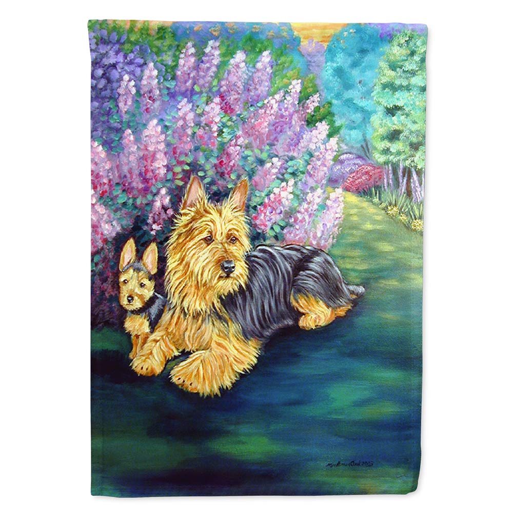 Drapeau Australian Terrier Caroline's Treasures taille L pour decoration de jardin multicolore