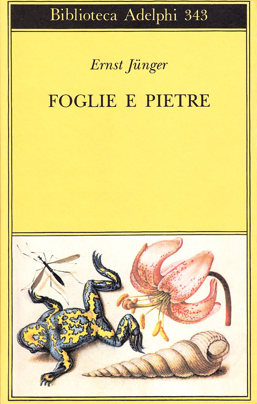 Foglie e pietre