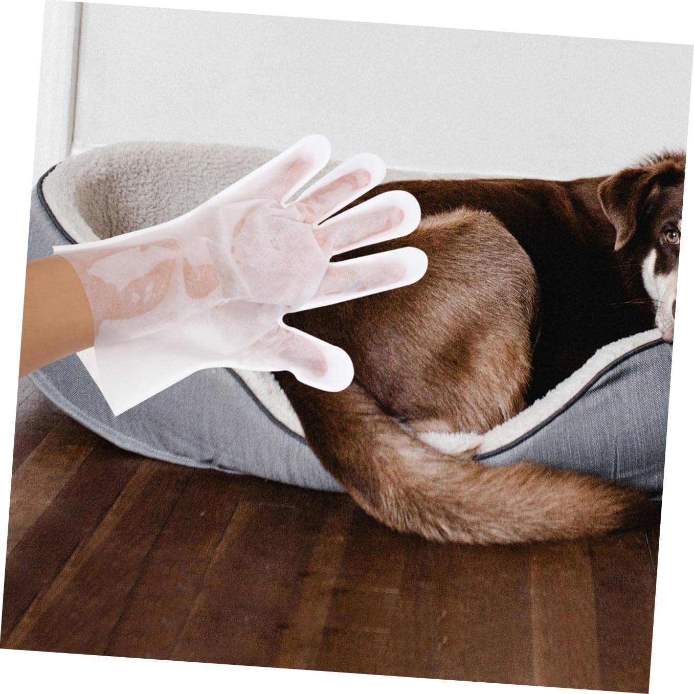 Didiseaon 18pezzi Guanti per Pulizia e Massaggio per Animali Domestici da Non Guanti per Bagno Senza Lavaggio per Gatti e Cani Accessori per Animali Domestici