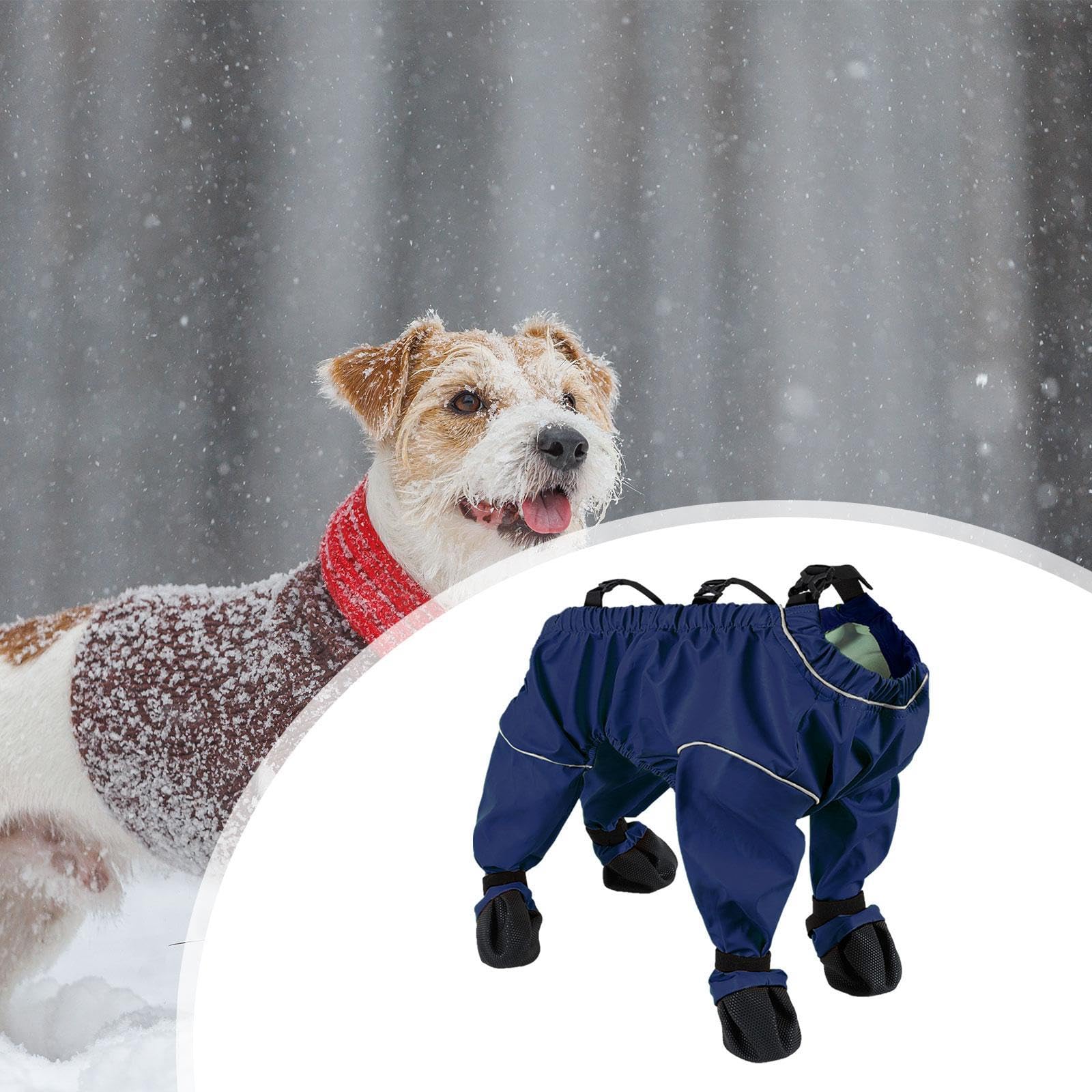 F Fityle Chaussures pour Chien avec Bretelles et Protections de Pattes, XL