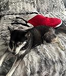 Review Image by Amazon Customer Amazon Customer